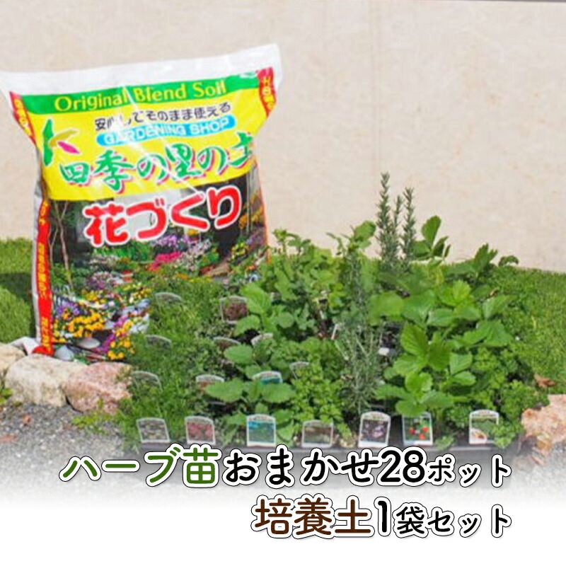 【ふるさと納税】ハーブ苗 28ポット 培養土 20L 1袋 セット ガーデニング 植物 インテリア ガーデニングショップ四季の里 |福岡県朝倉市