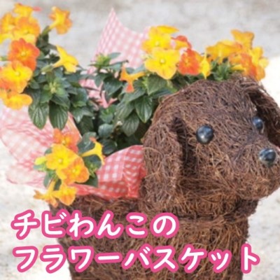 【ふるさと納税】チビわんこのフラワーバスケット（1匹） 植物