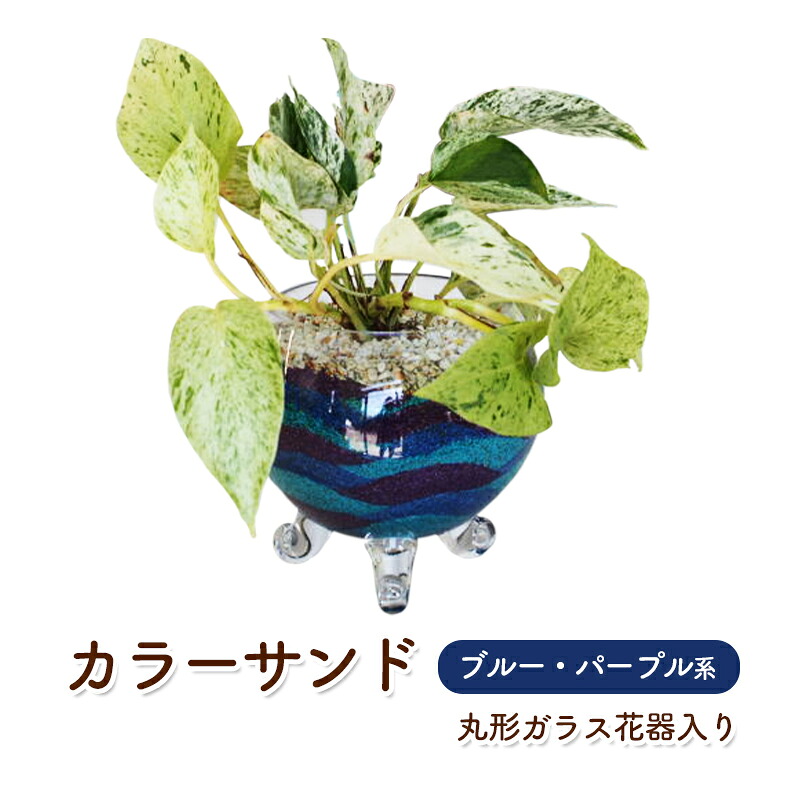 【ふるさと納税】カラーサンド ガラス花器:丸 ブルー パープル系 インテリア 植物 |福岡県朝倉市
