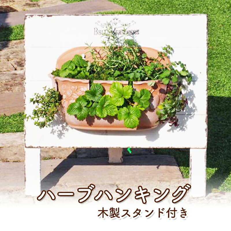 【ふるさと納税】植物 ハーブのハンキング 木製スタンド付き ハーブ インテリア ガーデン 23,250円