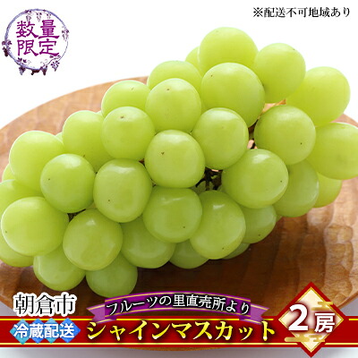【ふるさと納税】シャインマスカット 2房 フルーツの里の直売所より 葡萄 果物類 ぶどう 皮ごと 高い糖度 ※配送不可：離島　お届け：2026年9月10日～9月30日