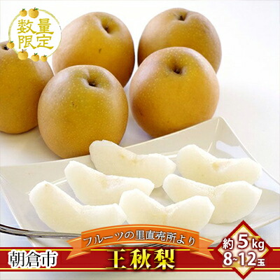 【ふるさと納税】フルーツの里の直売所より 王秋梨 5kg ナシ 果物 先行予約 　お届け：2026年11月15日～12月10日
