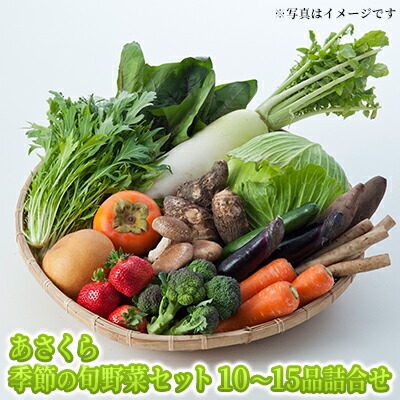 【ふるさと納税】野菜セット おまかせ 10～15種 旬 朝倉市産 着日指定不可 配送不可 離島 詰合せ