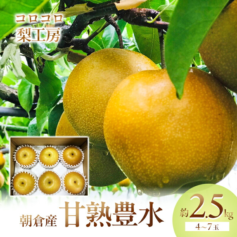 【ふるさと納税】梨 豊水 まるで食べる梨ジュース！！ 甘熟 豊水梨 約2.5kg 4～7玉入 配送不可 離島 ナシ 果物 フルーツ 先行予約 　お届け：2025年8月15日～9月20日