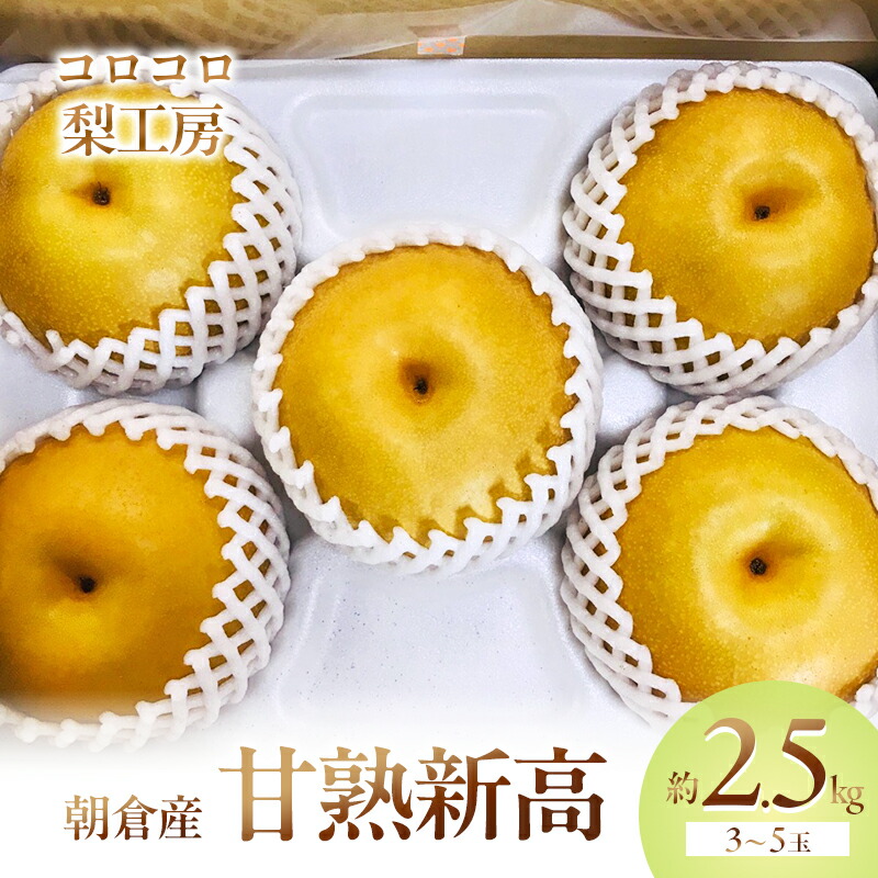 【ふるさと納税】梨 新高梨 甘熟 味に自信あり！！約2.5kg 3～5玉入 配送不可 離島 ナシ 果物 フルーツ 先行予約 　お届け：2025年9月10日～10月30日