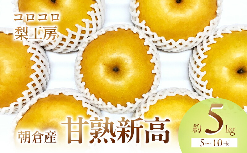 【ふるさと納税】梨 新高梨 甘熟 味に自信あり！！約5kg 5～10玉入 配送不可 離島 ナシ 果物 フルーツ 先行予約 　お届け：2026年9月10日～10月30日