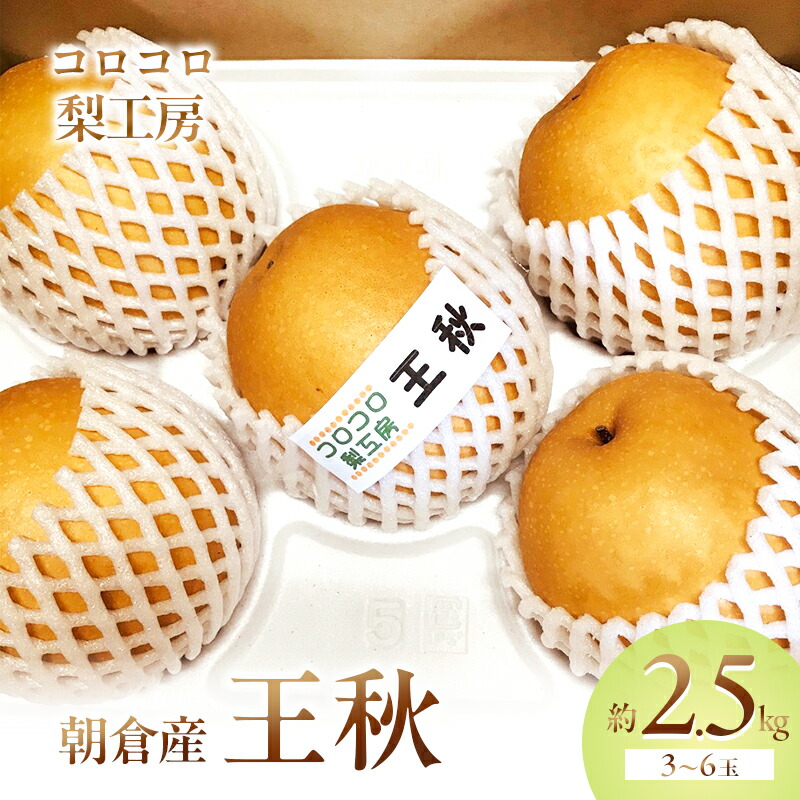 【ふるさと納税】梨 王秋梨 まるで食べる梨ジュース！！約2.5kg 3～6玉入 ナシ 果物 フルーツ 先行予約 　お届け：2025年10月10日～11月10日