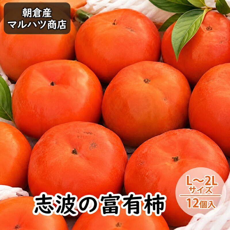 【ふるさと納税】柿 志波の富有柿 L～2Lサイズ×12個入 マルハツ商店 果物類 かき 　お届け：2026年11月下旬頃