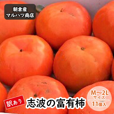 【ふるさと納税】訳あり 柿 志波の富有柿 M~2Lサイズ×11個入 マルハツ商店 果物類 かき お届け:2026年11月下旬頃|福岡県朝倉市