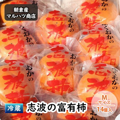 【ふるさと納税】柿 冷蔵 志波の富有柿 Mサイズ×14個入 マルハツ商店 配送不可：離島 果物類 かき 　お届け：2026年12月10日～2027年1月20日