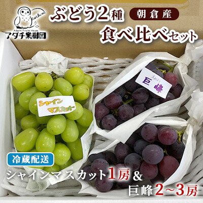 【ふるさと納税】シャインマスカット 1房 巨峰 2～3房 ぶどう 食べ比べ セット 2種類 配送不可 離島 フルーツ 果物類 高級フルーツ 　お届け：2026年8月20日～8月31日 12,750円