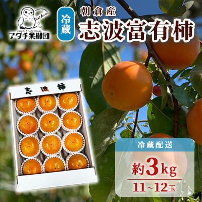 【ふるさと納税】柿 志波 富有柿 冷蔵 約3kg 11～12玉 配送不可 離島 果物類 かき 　お届け：2025年12月中旬～2026年1月31日