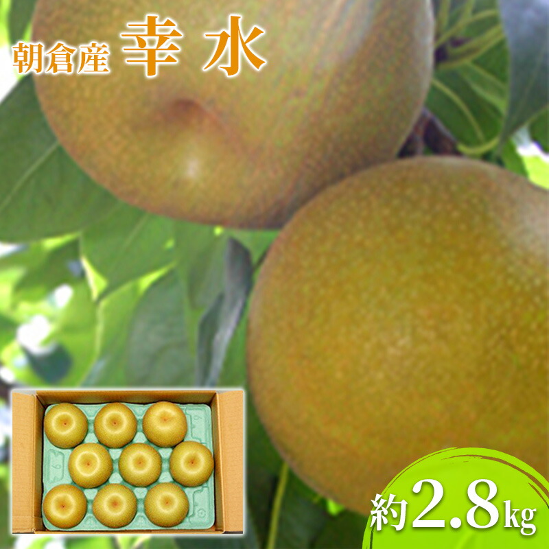 【ふるさと納税】梨 幸水 2.8kg 2025年 発送 なし フルーツ 果物 くだもの デザート 筑前あさくら農協 配送不可 離島　お届け：2025年7月中旬～8月上旬