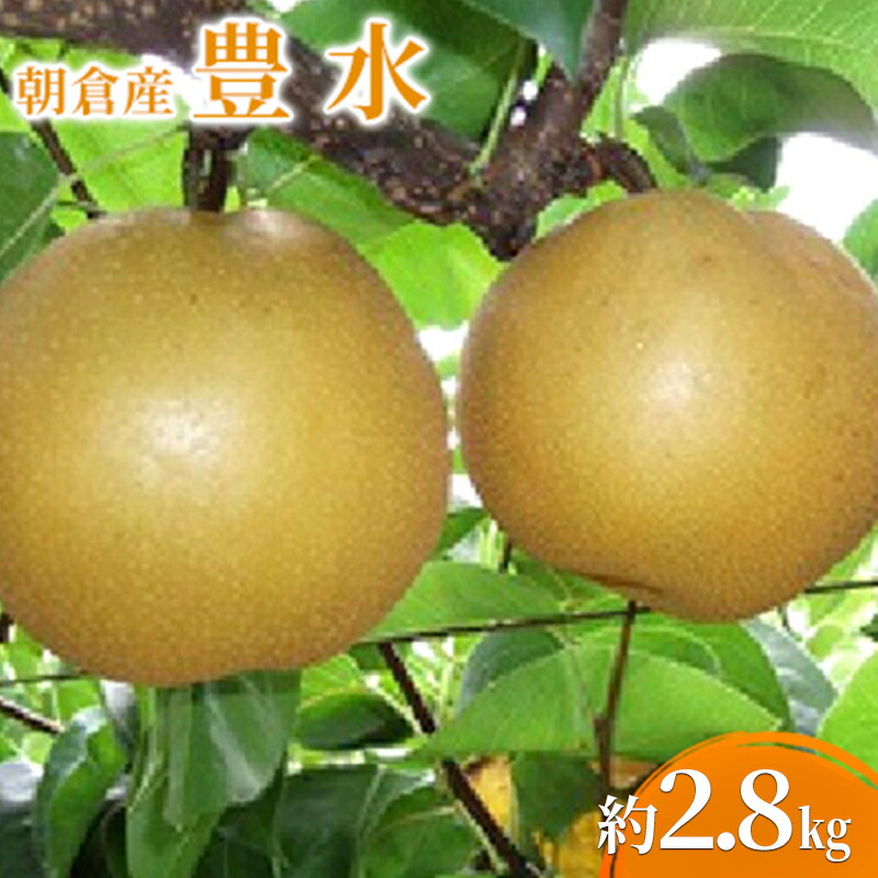 【ふるさと納税】梨 豊水 2.8kg 2025年 発送 フルーツ 果物 くだもの デザート 筑前あさくら農協 配送不可 離島　お届け：2025年8月中旬～9月上旬
