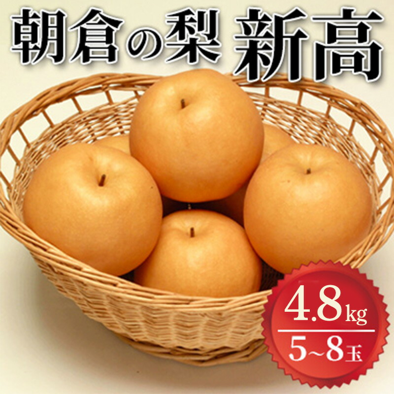 【ふるさと納税】梨 2025年発送 新高 4.8kg 筑前あさくら農協 配送不可 離島　お届け：2025年9月下旬～10月中旬