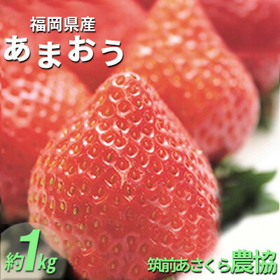 【ふるさと納税】いちご あまおう 福岡県産 約1kg 250g×4パック 筑前あさくら農協 配送不可 離島 果物類 苺 イチゴ 配送期間：2026年1月下旬～3月上旬　お届け：2026年1月下旬～3月上旬