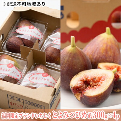 【ふるさと納税】いちじく とよみつひめ 福岡限定 ブランド 約300g×4パック 配送不可 北海道 東北  沖縄 離島 果物詰合せ フルーツ 　お届け：2025年8月上旬～10月中旬にかけて順次発送