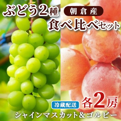 【ふるさと納税】ぶどう シャインマスカット 2房 ゴルビー 2房 食べ比べ 約2kg 配送不可 離島 果物類 フルーツ 果物 　お届け：2025年8月25日～9月10日