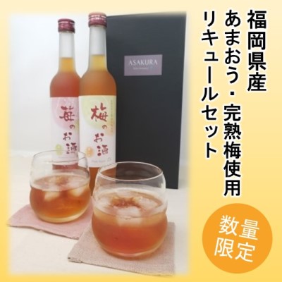 【ふるさと納税】【数量限定】濃いめのお酒 飲み比べ 500ml×2本セット(苺のお酒/梅のお酒) 洋酒 リキュール