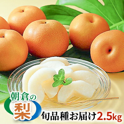 【ふるさと納税】梨 季節の朝倉の梨 2.5kg 2-6玉 配送不可 離島 果物 フルーツ デザート おやつ 福岡県産 朝倉市産 秋の味覚 幸水 豊水 秋月 新高 南水 　お届け：2025年8月上旬～10月下旬にかけて順次発送