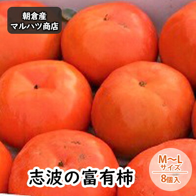 【ふるさと納税】柿 志波の富有柿 M～Lサイズ&times;8個入 マルハツ商店 果物 フルーツ 秋の味覚 秋 おやつ デザート 産地直送 ブランド 柿の王様 福岡県産 朝倉市産 　お届け：2026年11月20日～12月10日｜福岡県朝倉市