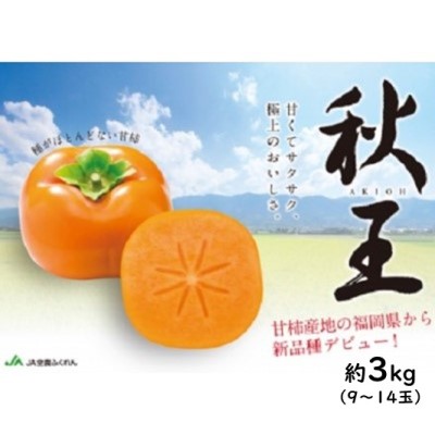 【ふるさと納税】柿 秋王 あきおう 約3kg 9～14玉 2024年発送 果物 フルーツ デザート かき オンライン決済限定 配送不可:離島 　お届け：2025年10月下旬～11月中旬