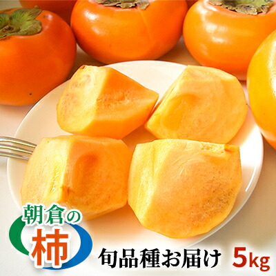 【ふるさと納税】柿 朝倉の柿はじめました。季節の朝倉の柿 約5kg 16-20玉 配送不可 離島 果物 フルーツ 秋の味覚 旬 デザート 果実 おやつ 美味しい品種 厳選 お届け 　お届け：2025年10月中旬～12月中旬にかけて順次発送