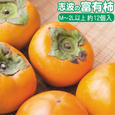【ふるさと納税】2024年先行予約 志波の富有柿 M～2Lサイズ×約12個入※配送不可：離島 果物 フルーツ 秋の味覚 おやつ デザート 産地直送 ブランド 柿の王様 福岡県産 朝倉市産 　お届け：2025年11月20日～12月25日