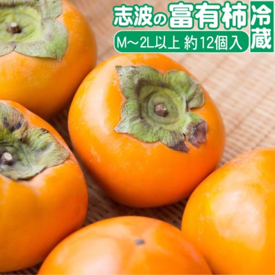 【ふるさと納税】2025年先行予約 志波の富有柿 M～2Lサイズ×約12個入（冷蔵）発送予定：2025年12月20日～2026年1月31日 ※配送不可：離島 果物 フルーツ 秋の味覚 おやつ デザート 産地直送 ブランド 柿の王様 福岡県産 朝倉市産　お届け：2025年12月20日～2026年1月31日