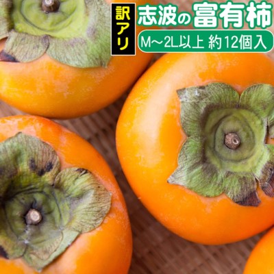 【ふるさと納税】2024年先行予約 志波の富有柿 家庭用 M～2Lサイズ×約12個入※配送不可：離島 果物 フルーツ 秋の味覚 おやつ デザート 産地直送 ブランド 柿の王様 福岡県産 朝倉市産 　お届け：2025年11月20日～12月25日