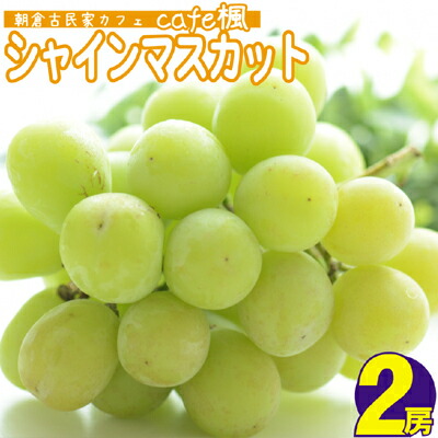シャインマスカット 2房 Cafe楓