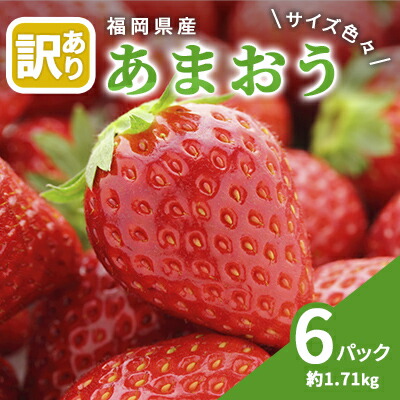 【ふるさと納税】訳あり いちご 2025年2月下旬より発送 あまおう サイズ色々 6パック 約1.71kg 配送不可 離島 果物 フルーツ 福岡県産あまおう 　お届け：2026年2月下旬～3月末