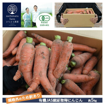 【ふるさと納税】訳あり 規格外 にんじん 約5kg 有機JAS認証取得 栽培期間中農薬 除草剤 化学肥料不使用 野菜 食材 緑黄色野菜 国産野菜 えぐみがない 甘い人参 産地直送 キャロット ベジタブル 　お届け：2025年12月上旬～2026年2月下旬