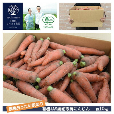 【ふるさと納税】訳あり 規格外 にんじん 約10kg 有機JAS認証取得 栽培期間中農薬 除草剤 化学肥料不使用 野菜 食材 緑黄色野菜 国産野菜 えぐみがない 甘い人参 産地直送 キャロット ベジタブル 　お届け：2025年12月上旬～2026年2月下旬