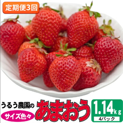 【ふるさと納税】定期便 3回 いちご 発送時期 2025年2月～4月 うるう農園のあまおう サイズ色々 4パック 約1.14kg 配送不可 離島 果物類 フルーツ 安心 安全 美味しい 食べやすい 　お届け：2026年2月～4月