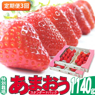 【ふるさと納税】定期便 3回 いちご 発送時期 2025年2月～4月 うるう農園のあまおう スタンダード4パック 約1.14kg 配送不可 離島 果物類 フルーツ 安心 安全 美味しい 食べやすい 　お届け：2026年2月～4月