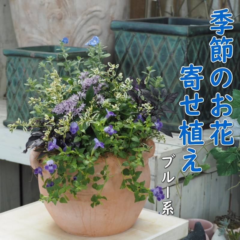 朝倉市の厳選牛特集｜とろける旨みと雅びやかな脂 選りすぐりの一皿を今