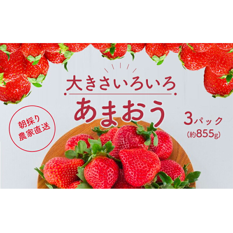 【ふるさと納税】いちご あまおう サイズ いろいろ 3パック（約855g）朝倉限定 イチゴ 苺 果物 フルーツ 配送不可：離島 　お届け：2026年1月中旬～4月上旬