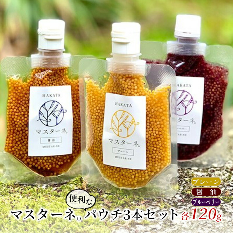 【ふるさと納税】調味料 マスタード 3本 セット マスターネ。 プレーン 醤油 ブルーベリー 各120g パウチ 食べ比べ ※配送不可:離島