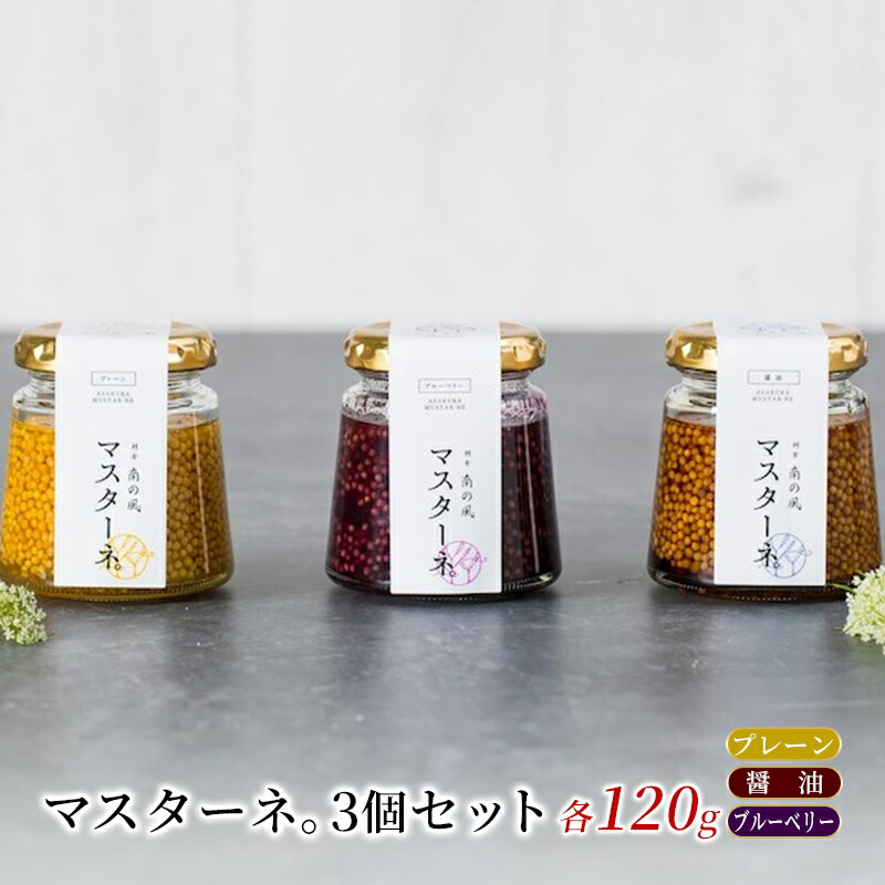 【ふるさと納税】調味料 マスタード 3本 セット マスターネ。 プレーン 醤油 ブルーベリー 各120g 瓶 食べ比べ ※配送不可:離島