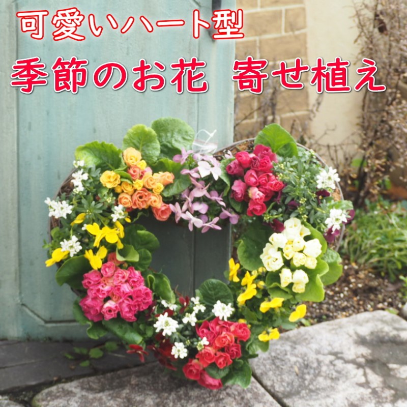 朝倉市の厳選牛特集｜とろける旨みと窈窕たるな脂 選りすぐりの一皿を今