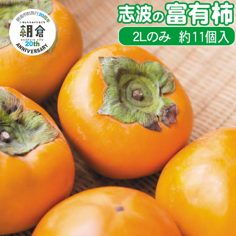 【ふるさと納税】【朝倉市制施行20周年記念企画】 柿 志波の富有柿 2Lサイズのみ×約11個入 ゆう美果樹園 ※配送不可：離島　お届け：2025年11月20日～12月25日