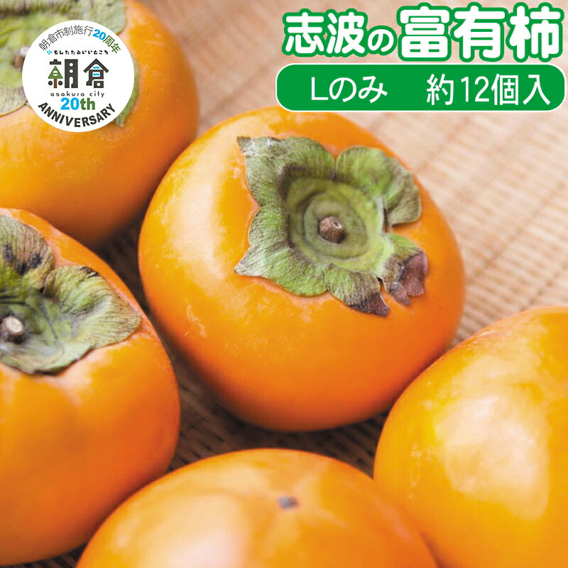 【ふるさと納税】【朝倉市制施行20周年記念企画】 柿 志波の富有柿 Lサイズのみ×約12個入 ゆう美果樹園 ※配送不可：離島　お届け：2025年11月20日～12月25日
