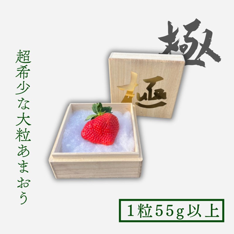 【ふるさと納税】いちご 大粒 あまおう 苺 「極」 1粒55g以上 2027年早期受付 果物　お届け：2027年1月下旬～3月末まで｜福岡県朝倉市