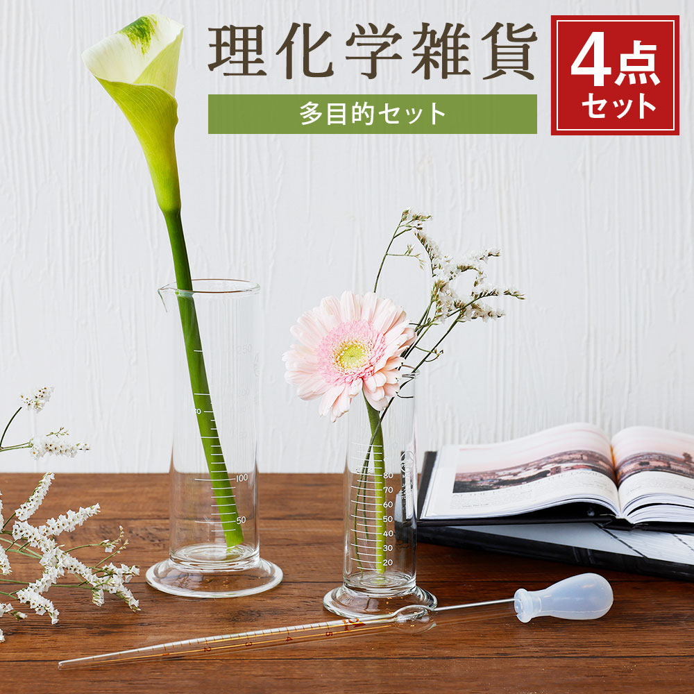 【ふるさと納税】A109 理化学雑貨 多役立つこと書き割り どっしりンダー 100ml 250ml 駒込ピペット 5ml ケイ素樹脂スポイト 5ml 4点書き割り 室内装飾 水のみ 花立て 雑貨 試み 耐熱硝子 みやま市 福岡県産 国産 貨物輸送無料