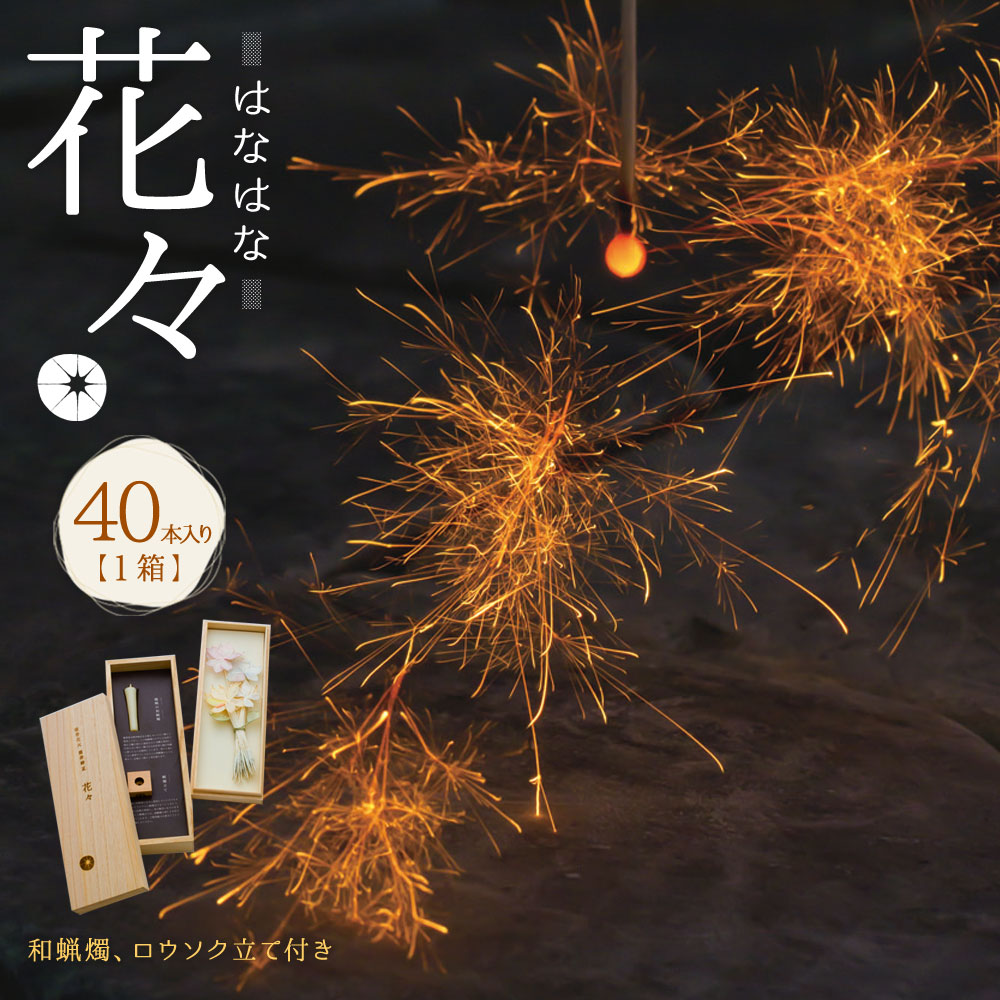楽天市場】【ふるさと納税】A127 お取り寄せ花火 蕾々 らいらい