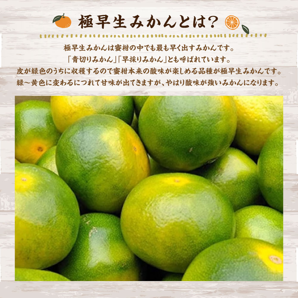 希少 9月中旬より順次発送予定 福岡県 山川産 極早生 塩みかん 緑 10kg みかん ミカン 蜜柑 柑橘 青切り フルーツ 果物 国産 福岡県産 みやま市 九州 予約 送料無料 Fucoa Cl