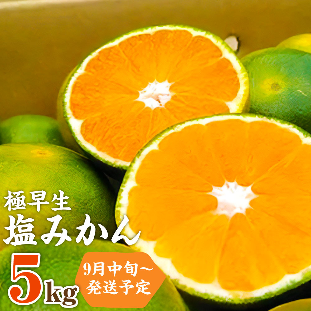 高評価なギフト 9月中旬より順次発送予定 福岡県 山川産 極早生 塩みかん 緑 5kg みかん ミカン 蜜柑 柑橘 青切り フルーツ 果物 国産 福岡県産 みやま市 九州 予約 送料無料 Fucoa Cl