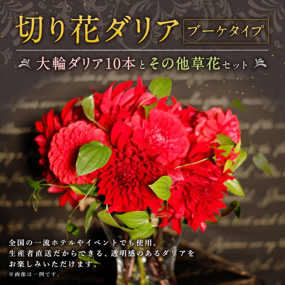 楽天市場 ふるさと納税 切り花 ダリア ブーケタイプ ブーケ 産地直送 生花 切花 花束 花 フラワーアレンジ アレンジメント 九州産 国産 送料無料 年11月 21年4月30日の間に順次発送予定 福岡県みやま市