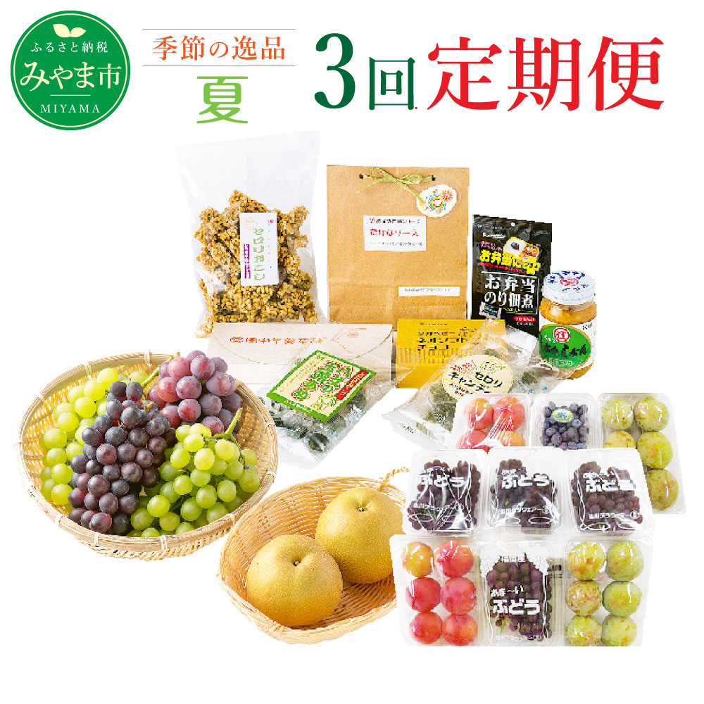 【ふるさと納税】C2 【3回定期便】季節の逸品 夏 計3回 フルーツ 野菜 葡萄 ぶどう デラウェア ピオーネ スモモ すもも 梨 ブルーベリー カレー ジャム 旬 セット 詰め合わせ 福岡県産 九州産 定期発送 定期便 送料無料｜福岡県みやま市